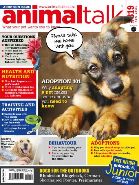Animaltalk Digital Issue 319