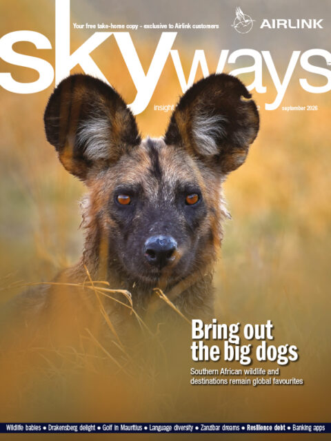 Skyways Magazine