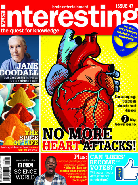 Very Interesting Digital Issue 47
