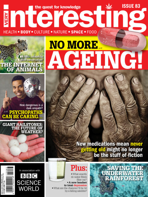 Very Interesting Magazine