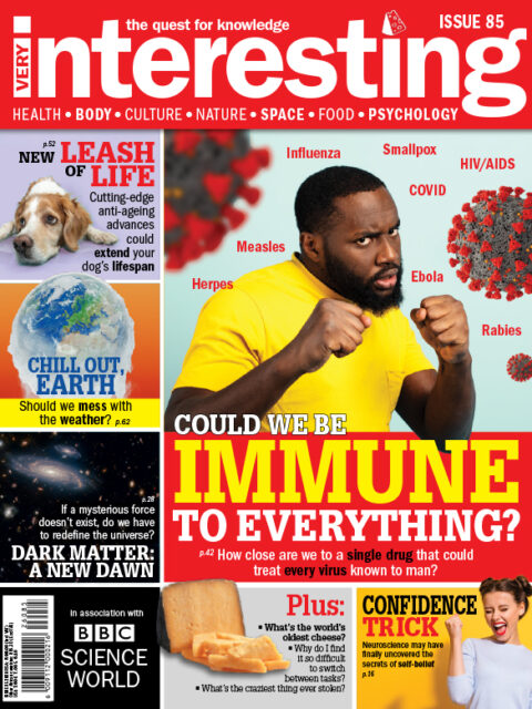 Very Interesting Magazine