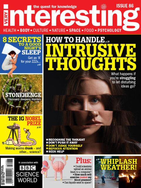 Very Interesting Magazine