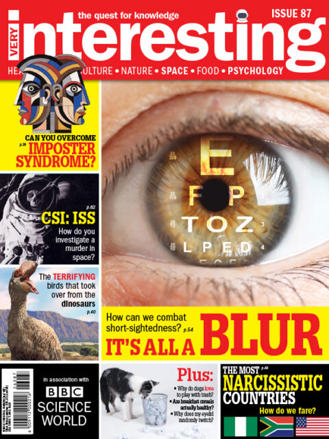 Very Interesting Magazine