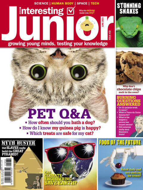 Very Interesting Junior Digital Issue 32