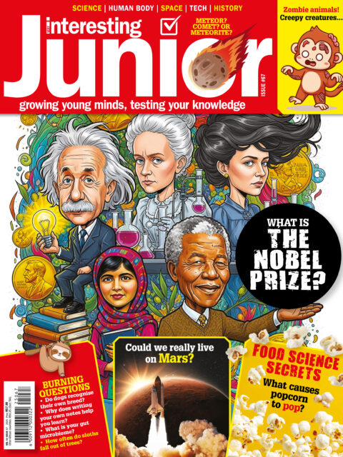 Very Interesting Junior