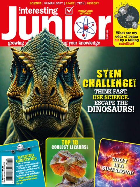 Very Interesting Junior