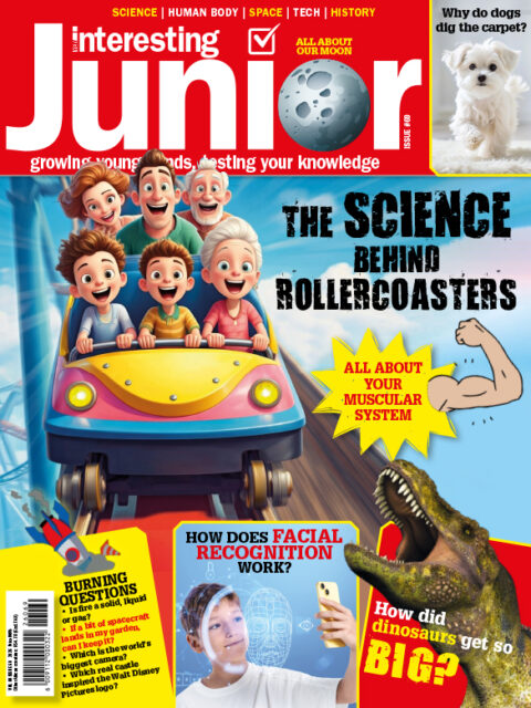 Very Interesting Junior