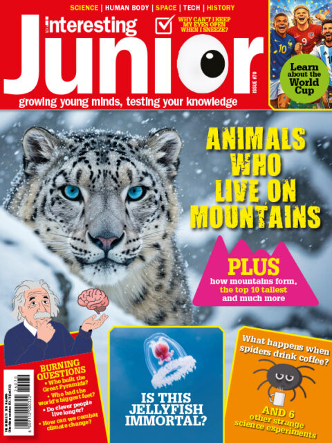 Very Interesting Junior