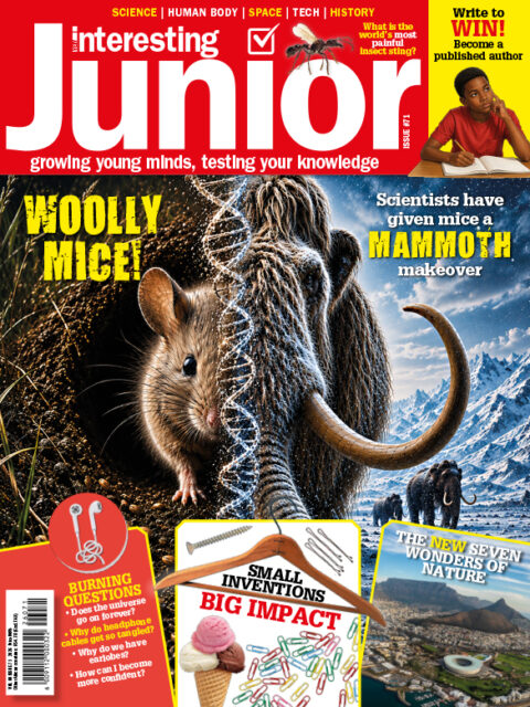 Very Interesting Junior