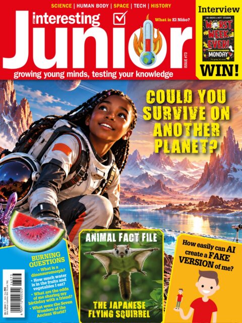 Very Interesting Junior