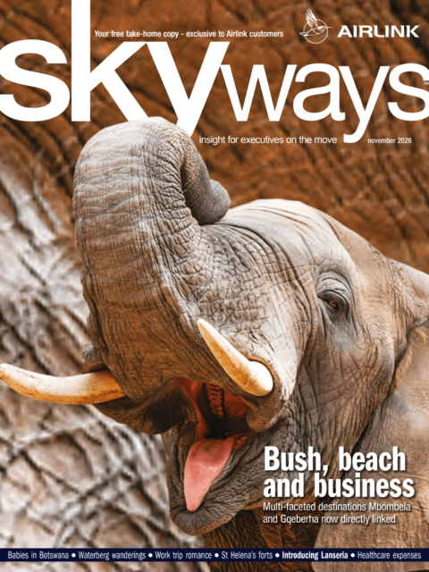 Skyways Magazine