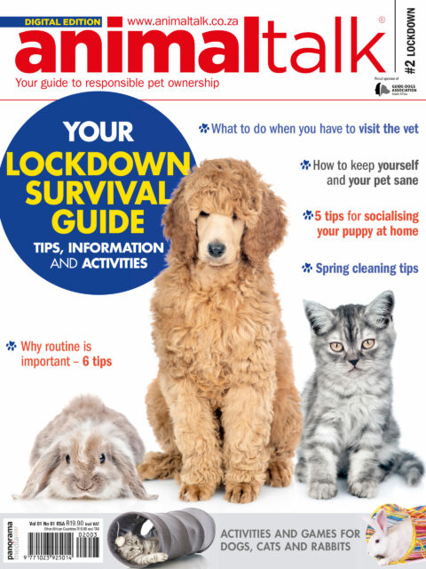Animaltalk Lockdown Survival Guide