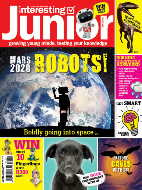 Very Interesting Junior Digital Issue 11