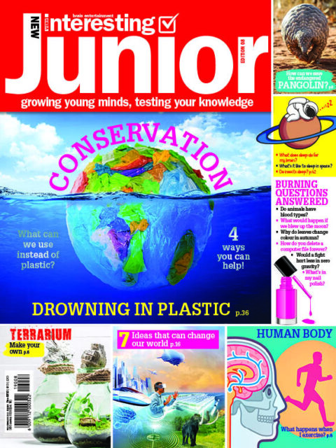 Very Interesting Junior Digital Issue 8