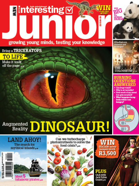 Very Interesting Junior Digital Issue 9