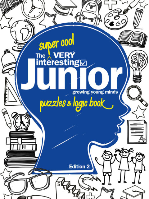 VIJ Puzzle book #2