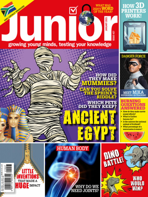 Very Interesting Junior Digital Issue 27