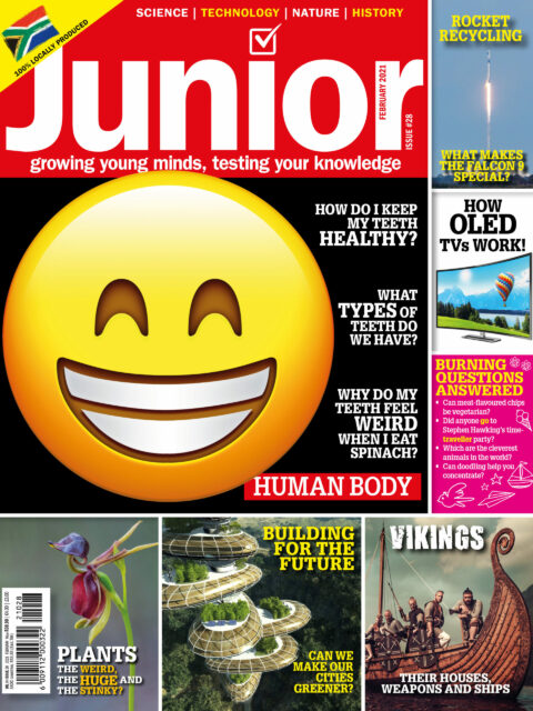 Very Interesting Junior Digital Issue 28
