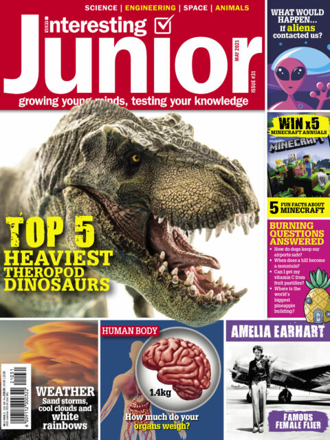 Very Interesting Junior Digital Issue 31