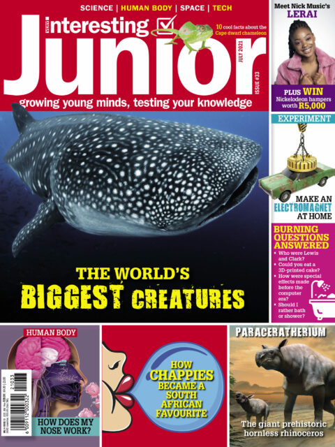 Very Interesting Junior Digital Issue 33